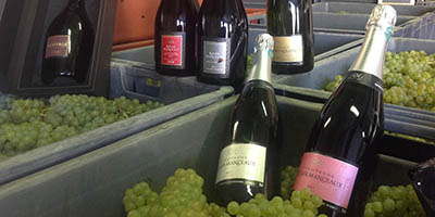 Champagne Roger Manceaux | Champagne Wine Tour